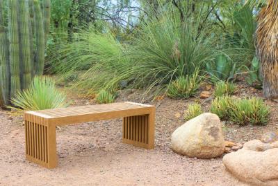 Desert Botanical Garden